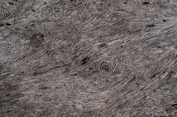Background texture photo of scratched grunge and the line of old wood.