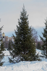 green tree on background of falling snow