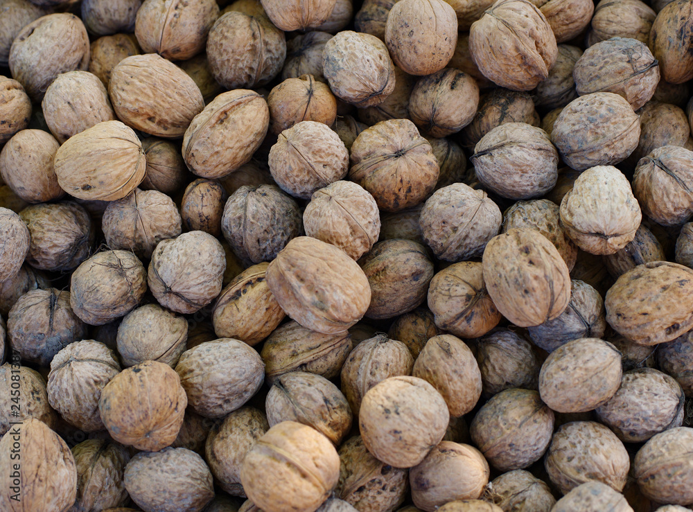 Wall mural Top view of whole walnuts as background texture - Wall murals