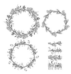 Vector wild black and white floral elements for your design. Stylized cute herbs, leaves and flowers