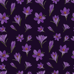 Vector  seamless pattern whith crocuses.  Floral seamless pattern. Flower background. Pattern on a purple background