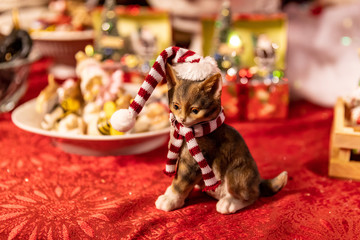 Portland, Oregon \ USA - December 15 2018: A figure of a small kitten  in a hat and a scarf. Christmas theme