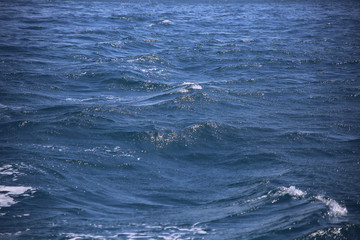 sea water
