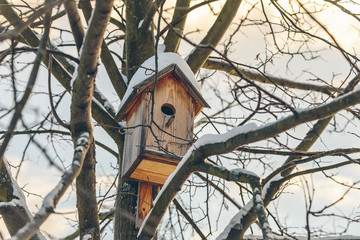 birdhouse on a tree in a winter park in the afternoon
