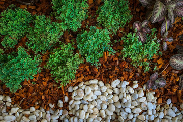 Garden decoration top view 