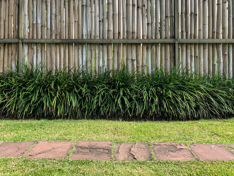 Tropical bamboo wall with brick footpath