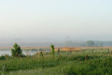 morning on a lake