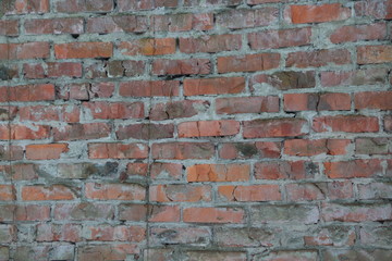 Background of brick wall texture