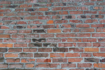 Fototapeta premium Background of brick wall texture