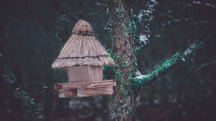 Outdoor bird house in winter
