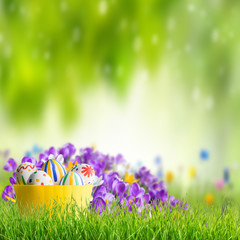 Easter background with flowers and eggs