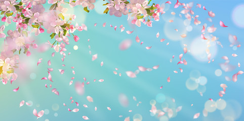 Fototapeta na wymiar Spring Blossom Background