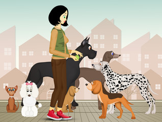 dog sitter with various breeds of dogs - obrazy, fototapety, plakaty