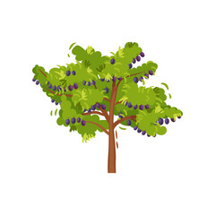 Flat vector icon of big green tree with ripe plums. Sweet summer fruit. Garden plant. Organic product. Nature theme