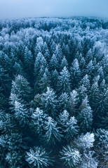 Background texture of a frozen forest at winter, aerial shot
