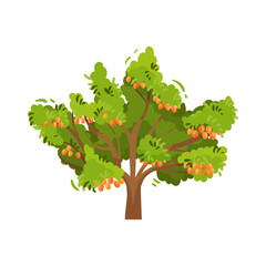 Flat vector icon of large tree with juicy apricots and green foliage. Summer fruit. Garden plant
