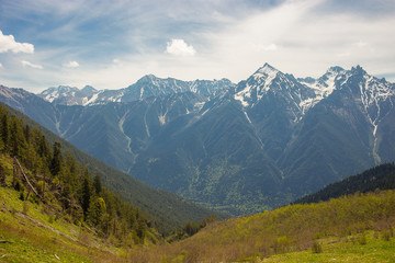 Fototapeta premium snow-capped mountain peaks against the background of a coniferous forest landscapes of Karachay-Cherkessia in Teberda