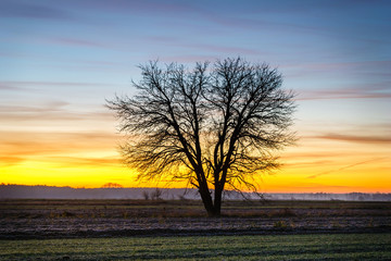 Fototapeta premium Beautiful sunrise over the field, countryside landscape
