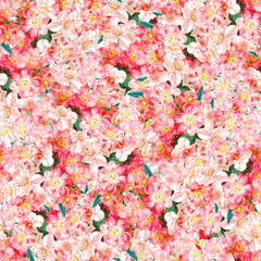 Floral daisy print 
