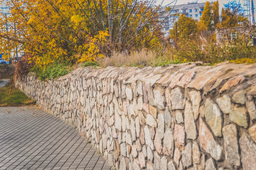 Beautiful autumn park