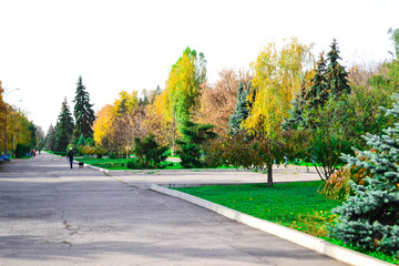 Beautiful autumn park