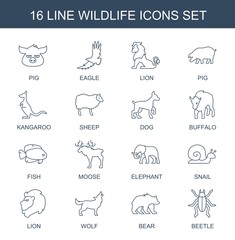 Fototapeta na wymiar wildlife icons