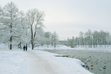 Walking people in the winter Park. Winter landscape.