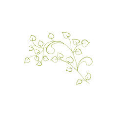 Isolated Vector Floral Branch Element for Coloring Book Pages. Antistress Flower with Leaves and Petals for your Craft Design