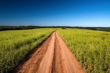 Dirt road and landscape countryside.