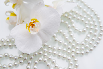 Fototapeta na wymiar pearl and white orchid on a white glas 