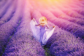 Woman in lavender flowers field at sunset in purple dress. France, Provence