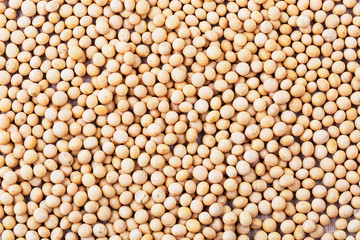 Top view of healthy grains soy beans surface