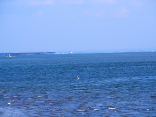 Obraz premium 河口付近