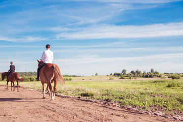 horse ride in sunny weather. Horizontal photo