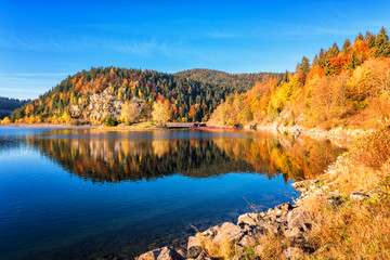 Amazing autumn landscape with alpine lake, golden colored wooded mountain and blue sky, outdoor travel background, National park Slovak paradise (Narodny park Slovensky Raj), Slovakia (Slovensko)
