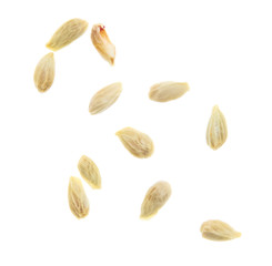 Seeds in tangerines on a white background