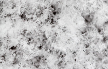 White snowflakes on nature as a background
