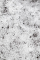 White snowflakes on nature as a background