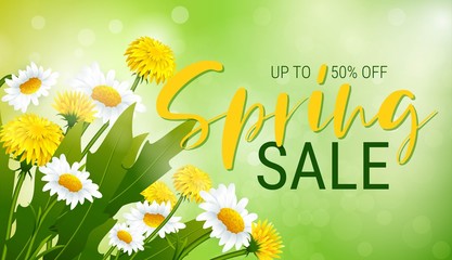 Spring sale banner with  flowers.Vector banner with flowers chamomile ans dandelions. Clearance Banner, Poster, Flyer
