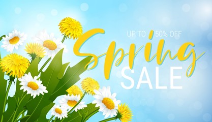 Spring vector  greetings design with colorful flowers,dandelions and chamomiles.Spring sale banner © designervector