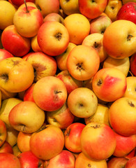 Ripe red apples as background