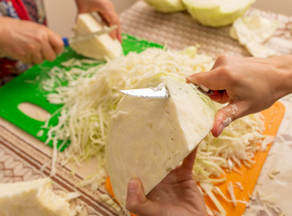 Woman cutting cabbage with a knife in the kitchen