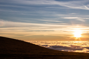 Fototapeta na wymiar Horses silhouettes on a mountain over a sea of fog at sunset, with beautiful warm colors