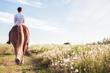 girl riding a horse walking in the field
