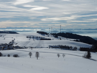 Gersbach. Öschgraben wald mit seinen Windkraftanlagen und die Schweizer Alpen mit dem „Dreigestirn“ Eiger, Mönch und Jungfrau zu sehen