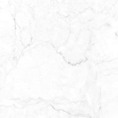 Fototapeta premium White gray marble texture background with high resolution, top view of natural tiles stone in luxury and seamless glitter pattern.