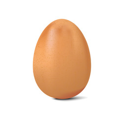 chicken egg isolated on white background, realistic vector illustration