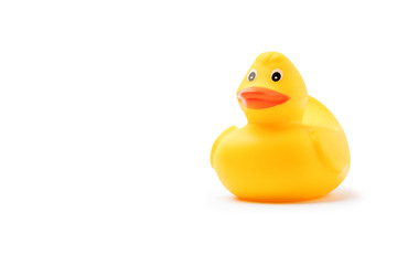 Yellow rubber duck isolated on white background