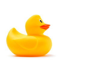 Yellow rubber duck isolated on white background