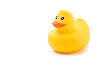 Yellow rubber duck isolated on white background